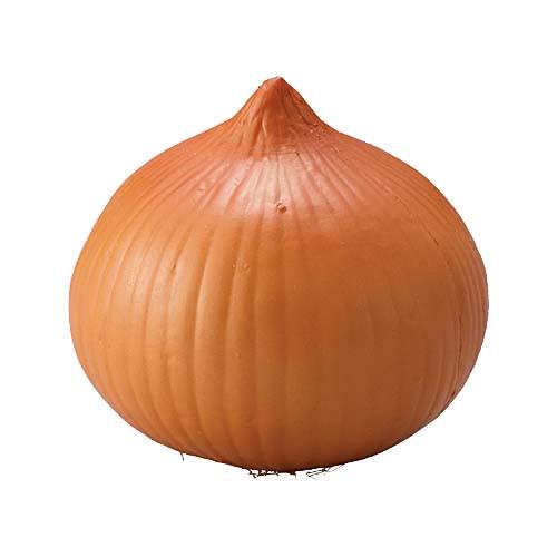 食品サンプル 野菜装飾 80mm フレッシュオニオン 6個セット ショーウインドウ 店舗 飲食店用 ...