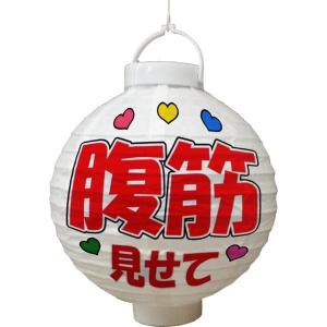 お絵かき提灯 LED付ちょうちん 白無地 電池...の詳細画像2