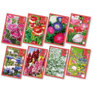 花の種 新デザイン 花の種子 1000袋セット ノベルティ 季節に合した花
