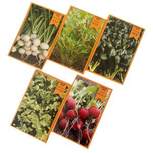 野菜の種 ちびタネ 野菜の種(新デザイン)100...の商品画像