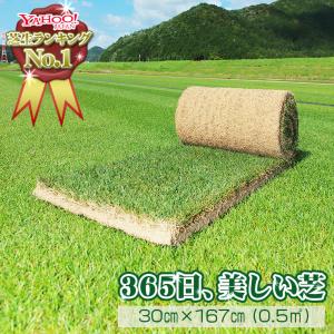 芝生 天然芝 三種混合ロール巻芝 (芝生 通販)の商品画像