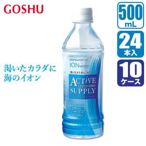 (レビュー特典あり) 五洲薬品 アクティブサプライ 500ml×24本×10ケース 4987332405801-set ORS 熱中症対策 炎天下 スポーツ アウトドア 作業