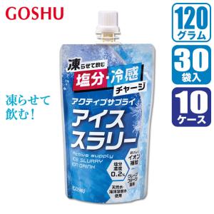 (レビュー特典あり) 五洲薬品 アクティブサプライ アイススラリー 120g×30個×10ケース 4987332406846-set ORS 熱中症対策 炎天下 スポーツ アウトドア 作業