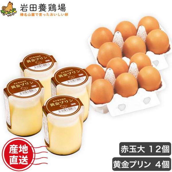 (クール便) 黄金プリン 4個入り 赤玉大 12個入り(6個×2パック) 詰め合わせ 岩田養鶏場 岩...