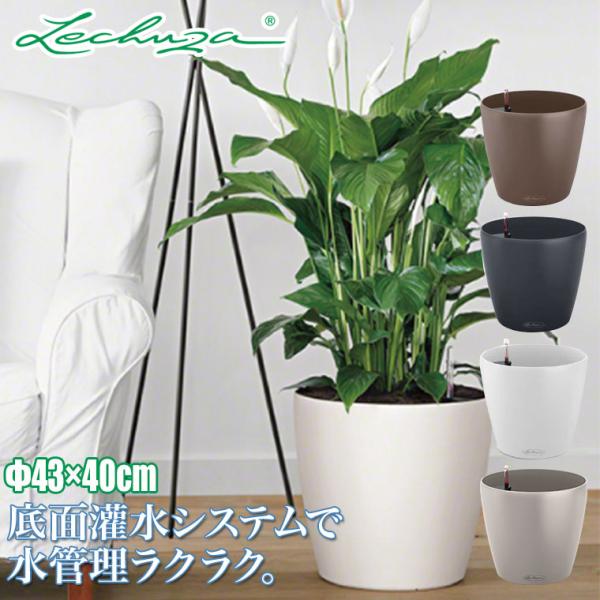 プランター レチューザ ラウンド43 LE-7043 LECHUZA 底面給水 底面灌水 鉢