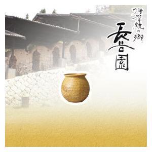 長谷園 黄瀬戸 骨入 ANK-28