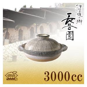 (予約注文 2026年2月末発送予定) 長谷園 伊賀土鍋 利休十草 大 ANR-03 9号