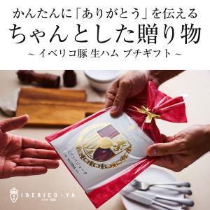 プチギフト 高級 おつまみ 生ハム イベリコ豚...の詳細画像1