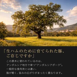 アンダルシアポーク 生ハム 原木 1本 約8k...の詳細画像1