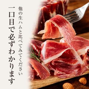 生ハム ミニ 原木 お中元 ギフト スペイン産...の詳細画像2