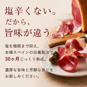 生ハム ミニ 原木 お中元 ギフト スペイン産...の詳細画像4