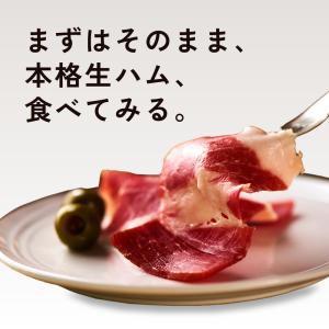 ハモンセラーノ 生ハム 単品 50g 18ヶ月...の詳細画像3