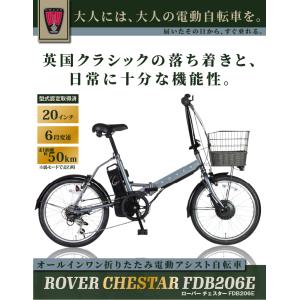ROVER CHESTAR FDB206E 電...の詳細画像1