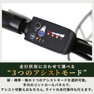 ROVER CHESTAR FDB206E 電...の詳細画像4