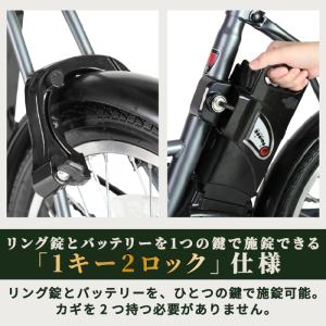 ROVER CHESTAR FDB206E 電...の詳細画像5