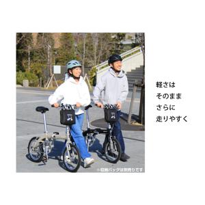 RENAULT(ルノー) LIGHT8 Ver...の詳細画像3
