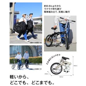 RENAULT(ルノー) LIGHT8 Ver...の詳細画像5