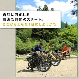 RENAULT(ルノー)GRAVEL11 軽量...の詳細画像5