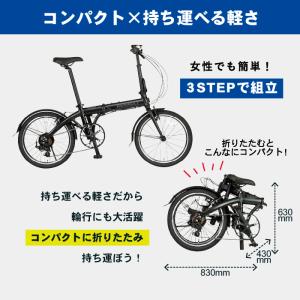 RENAULT(ルノー) LIGHT10 Bl...の詳細画像3