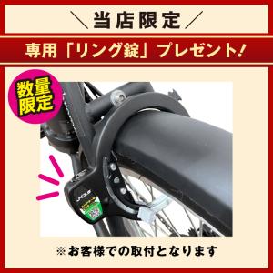 【数量限定リング錠プレゼント】TRANS MO...の詳細画像1