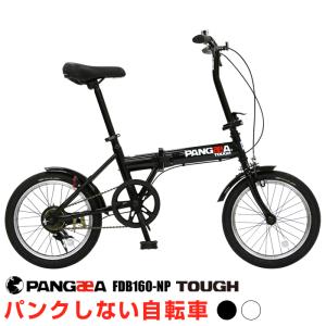 ノーパンク 折りたたみ自転車 前後泥除け標準装備 PANGAEA(パンゲア) FDB160-NP 16インチ｜自転車通販 IBFショップ