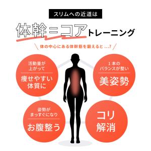 BEAXIS ビーアクシス バランスコアサンダ...の詳細画像3