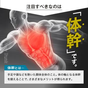 BEAXIS ビーアクシス バランスコアラン ...の詳細画像4