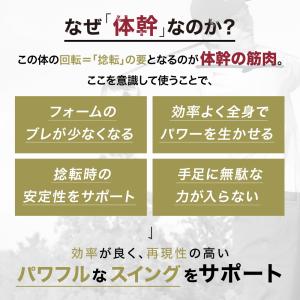 ゴルフシューズ メンズ レディース スパイクレ...の詳細画像5