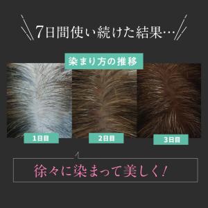 白髪染め シャンプー オールインワン オーガニ...の詳細画像4