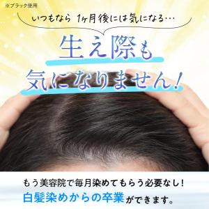 白髪染め シャンプー オールインワン オーガニ...の詳細画像5