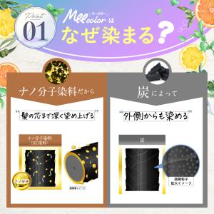 白髪染め シャンプー オールインワン オーガニ...の詳細画像5