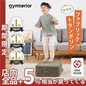 gymterior gymterior シェイプキューブ JOURNAL STANDARD FURNITUREコラボモデル トランポリンの商品画像