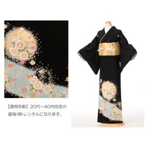 留袖 レンタル Anan アンアン 黒留袖レン...の詳細画像1