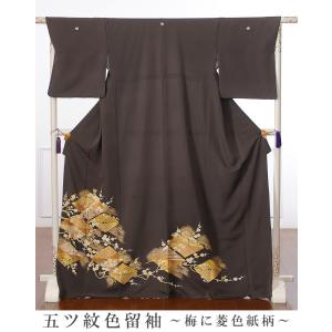 色留袖 レンタル 留袖 フルセット 色留 比翼仕...の商品画像