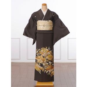 色留袖 レンタル 留袖 フルセット 色留 比翼...の詳細画像1