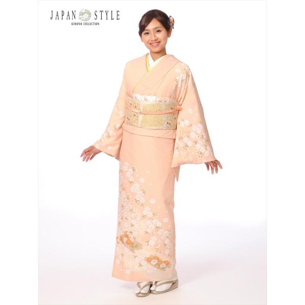 ジャパンスタイル訪問着レンタルフルセット8AD48/レンタル訪問着/JAPANSTYLE/JS/貸衣...