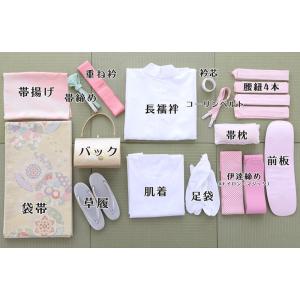 訪問着レンタルフルセット8AD97 正絹 レン...の詳細画像2
