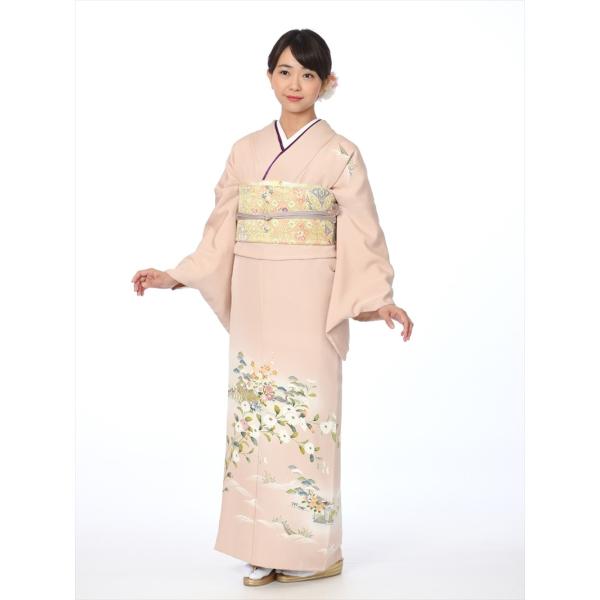 訪問着 レンタル 正絹訪問着レンタルフルセット　8AD173 正絹 結婚式 パーティ 入学式 七五三...