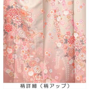 訪問着 レンタルフルセット8AD244 レンタ...の詳細画像2