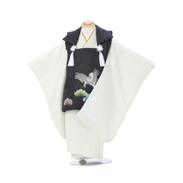 【レンタル】七五三 被布 着物 3歳 男の子 男児 七五三レンタル 貸衣装 男児被布セット AO30...