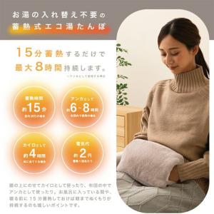 湯たんぽ 充電式 蓄熱式 充電式湯たんぽ 電気...の詳細画像2