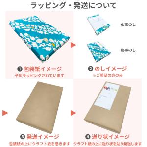 お中元 送料無料 揖保乃糸 特級品 黒帯 そう...の詳細画像3