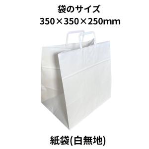 手提げ紙袋【白無地】/白無地/BSM-50N専用