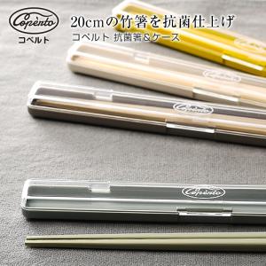 コペルト 抗菌箸入りコンビセット 箸 はし セット ケース スプーン 18cm 天然木 サブヒロモリ