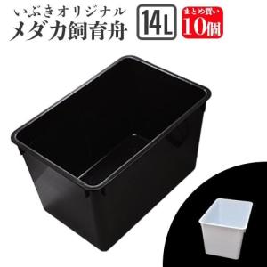 送料込】メダカ舟 黒容器 白容器 14L 100個 ※事業者限定 水槽 送料込】メダカ舟 黒容器 白容器 14L 100個 ※事業者限定 水槽