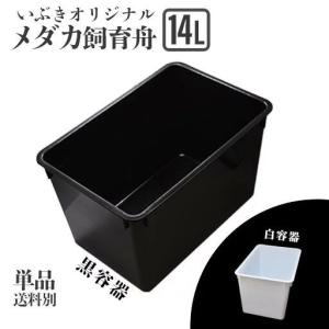 送料込】メダカ舟 黒容器 白容器 14L 100個 ※事業者限定 水槽 トロ舟