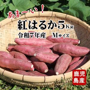 茨城県産 さつまいも 追熟 紅はるか 各S,M 5kg箱 : 芋屋久兵衛 - 通販
