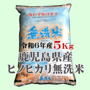 ななつぼし 米5kg 北海道きたそらち産 令和6年産 【事業所配送（個人宅