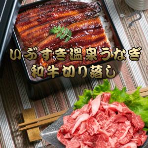 ギフト「鰻 ＆ 黒毛和牛切り落とし」かごしま温泉うなぎ 蒲焼き 黒毛和牛 肩バラ モモ 切り落とし｜ibusukiya