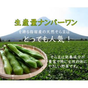 そら豆 鹿児島 Lサイズ 3〜4粒 <2kg>...の詳細画像1